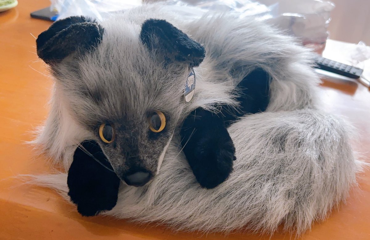 ケモノの子 (@Gavu1031) / Posts / X