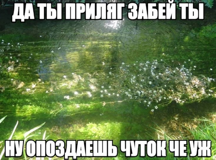 гемі🎐 (@gemi_softy) on Twitter photo 