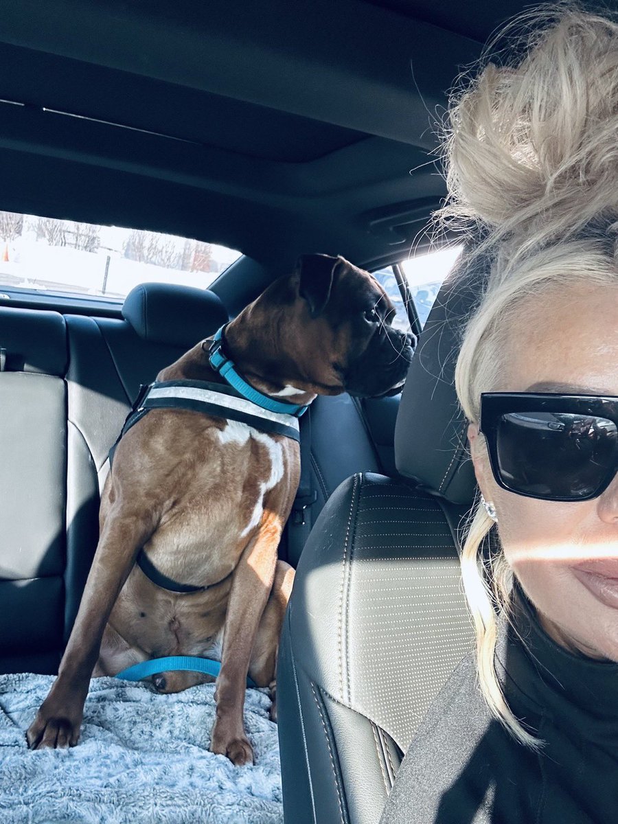 I was agreeing with you about the Muslim and Dog issue that seems to be going around on social media in regards to NYC and Muslims making a stink about Dogs