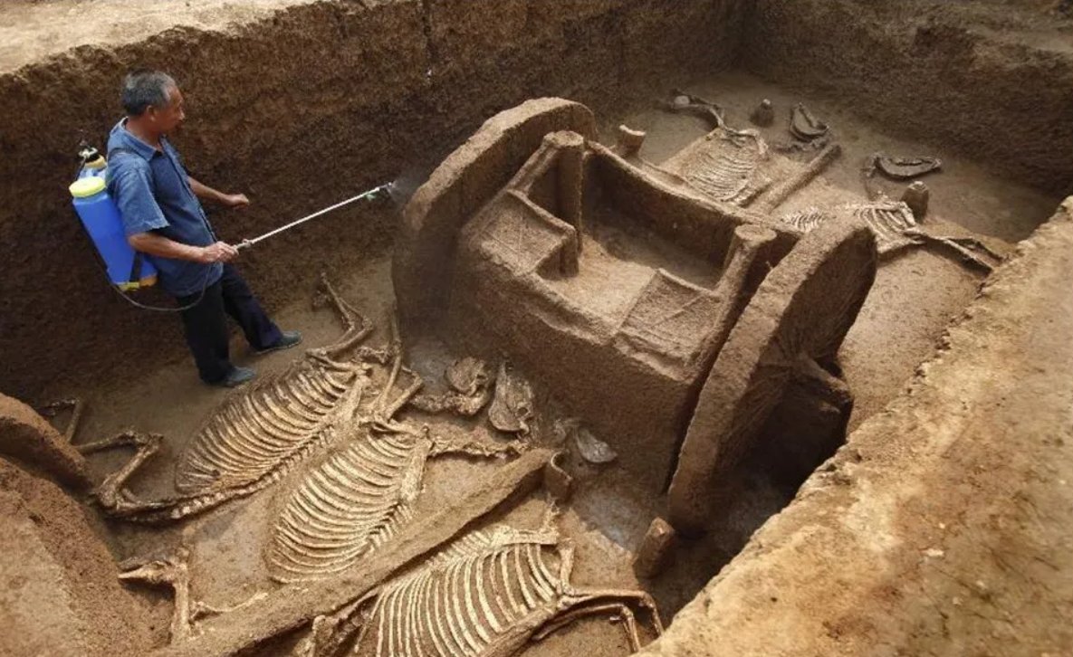 Uttar Pradesh, within whose borders lie the Ayodhya of the Treta Yuga, the Mathura of the Dwapar Yuga, and ancient Kashi of all ages. Sinauli, a small village in Baghpat, in that same ancient sacred land, remains a subject of wonder for historians worldwide. Excavations conducted