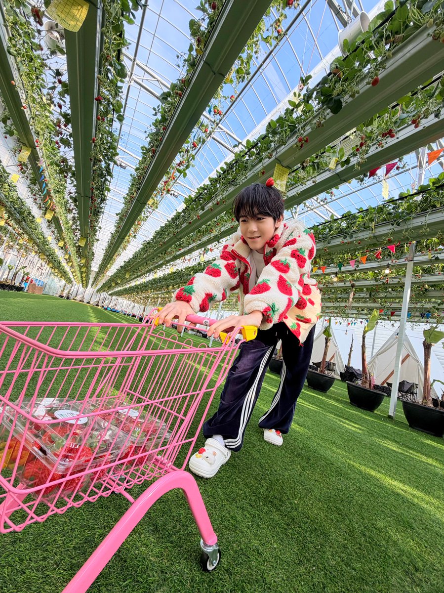 NCT WISH tweet media