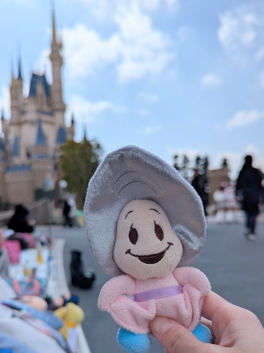 パルパルーザ♡♡♡