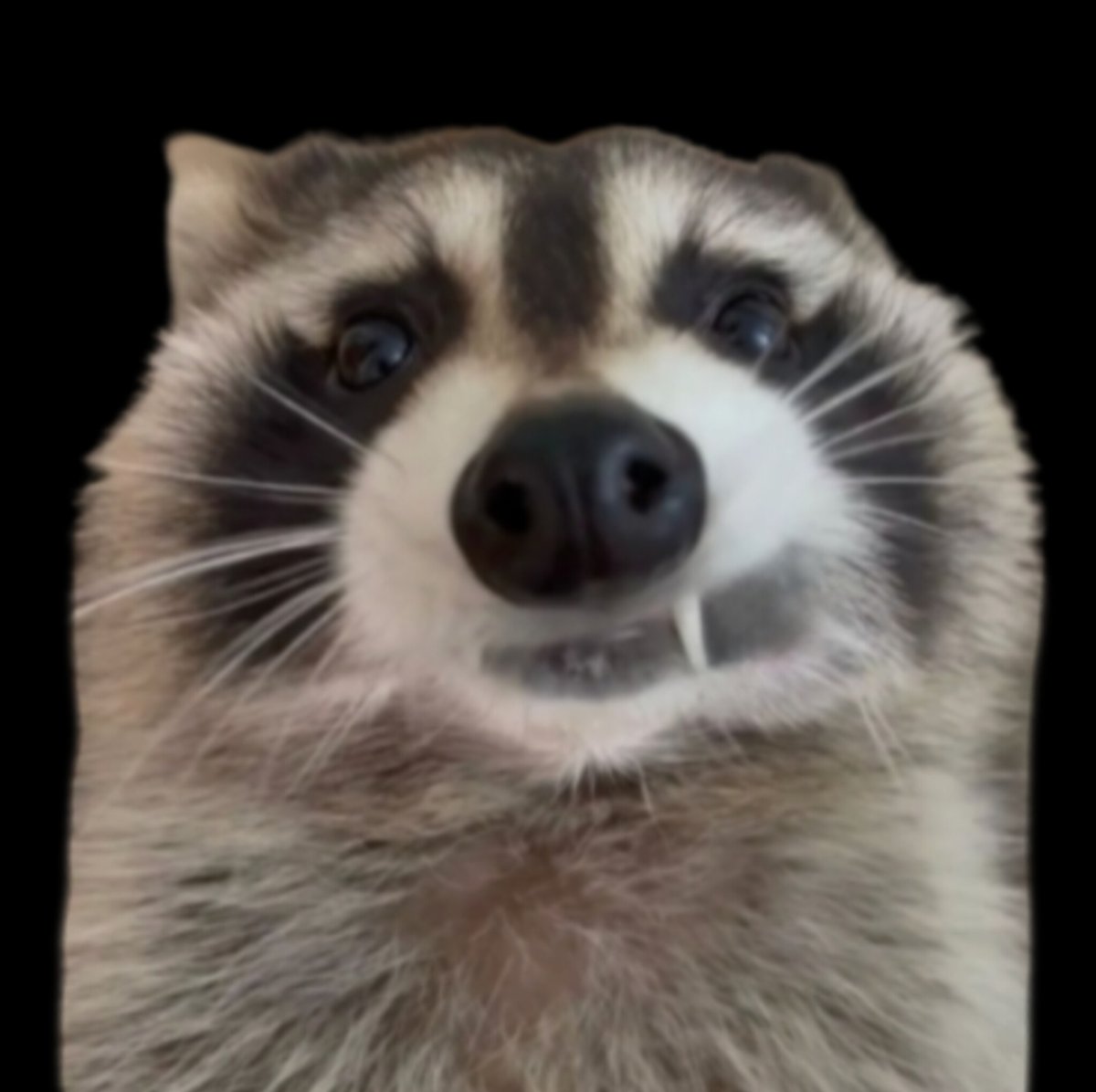 kit 🔜 AC / GFM '26 tweet media