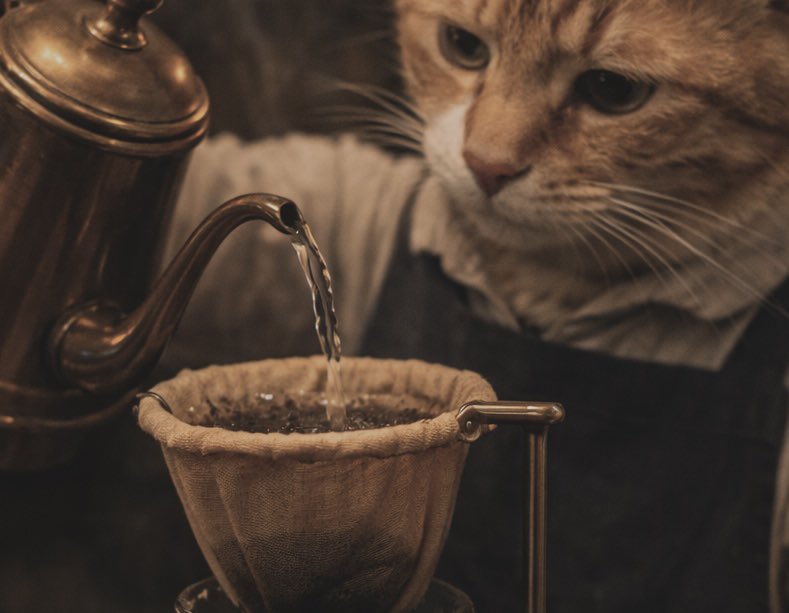 2/18 (水) 15:00 - 20:00