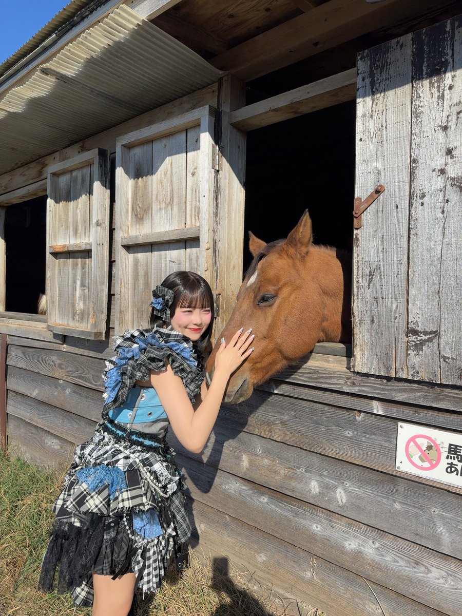 Post by 福山梨乃 (CANDY TUNE) on X: 乗馬いきたい♪♪