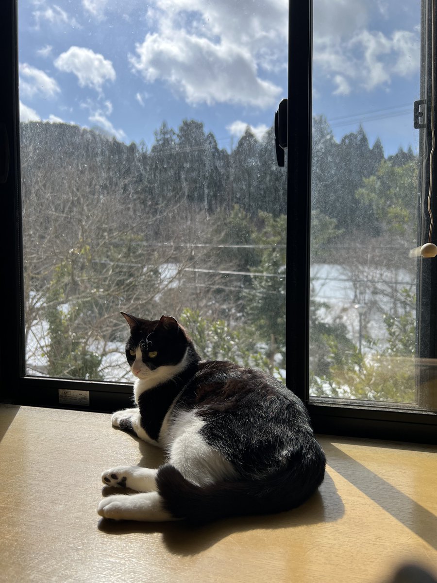 もう春だねぇ。コンピュータ総合学園HALだね。