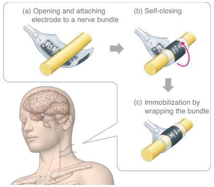 JSAP_official's tweet photo. #JSAP Review article 👉
https://t.co/kvTLYMTNHK
Tutorial Review
Fundamentals and applications of #bioiontronics: The forefront of next-generation information and therapeutic interfaces mediated by ions
Takeo Miyake 
JSAP Rev. 2026, 260203
#JSAPReview

CC BY-NC-ND 4.0 license https://t.co/rGsdLRx4cB