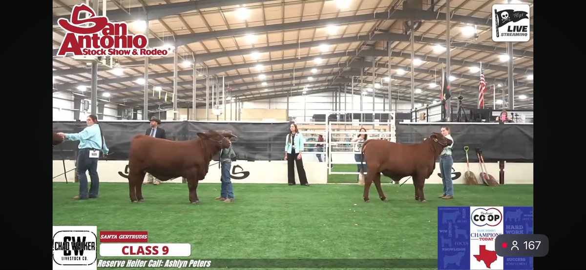 Lady Lion Girls Basketball tweet media