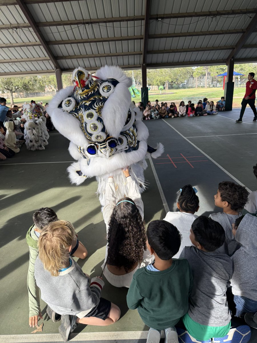 River Oaks IB World School tweet media