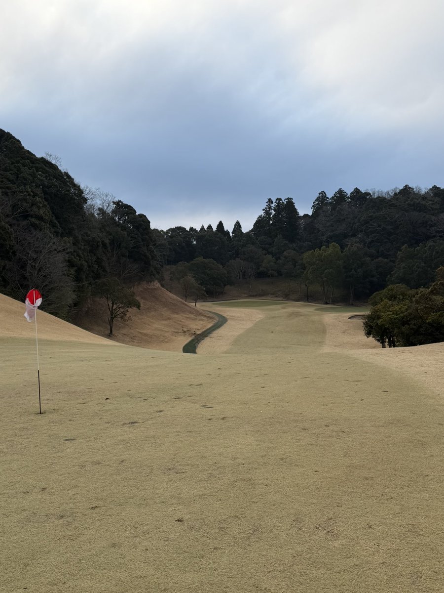 _tnuorhsA's tweet photo. ゴノレフ！！！⛳️ https://t.co/DbKon7Dubz