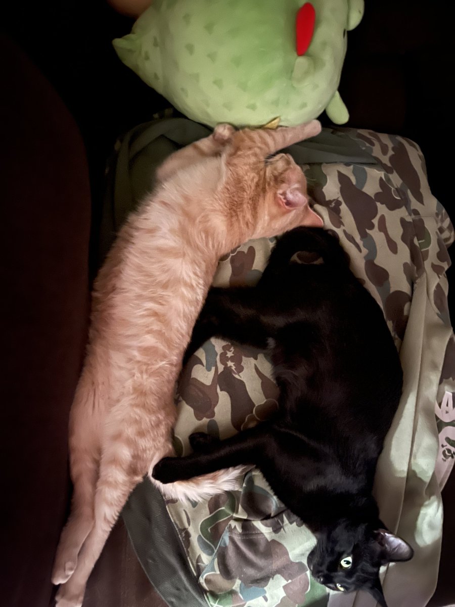 skwiptz (@skwiptz) on Twitter photo 