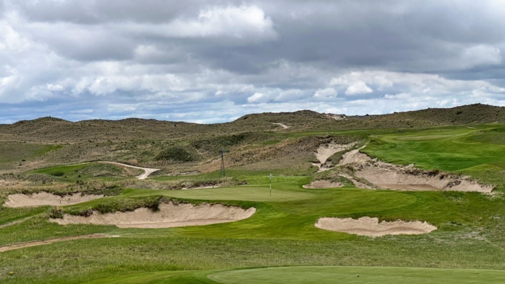 Steve M. tweet media