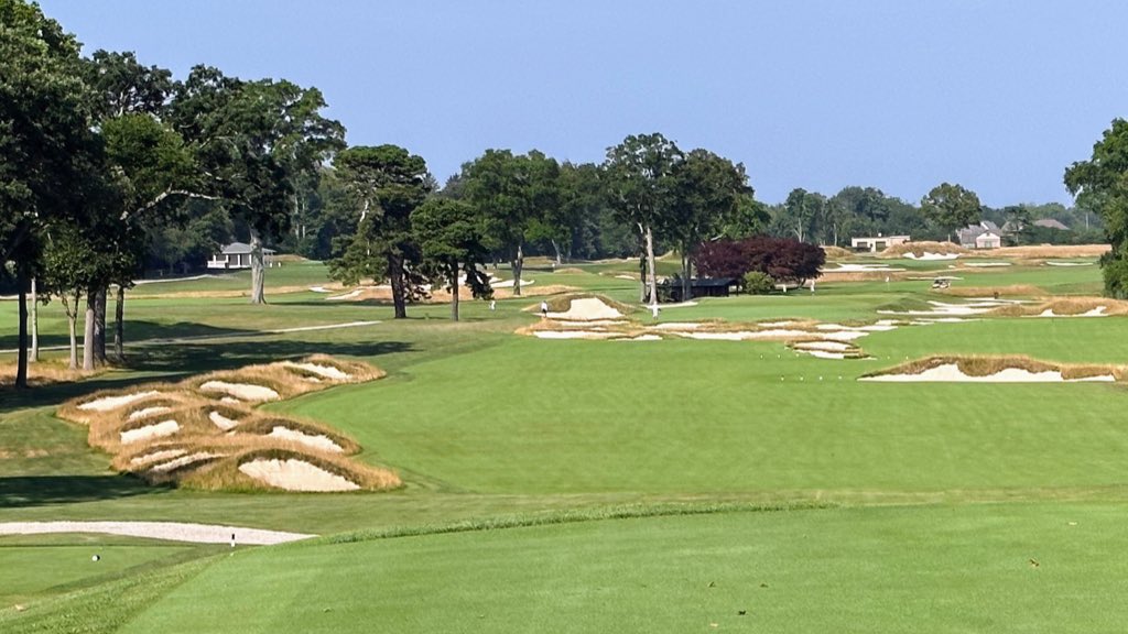 Steve M. tweet media