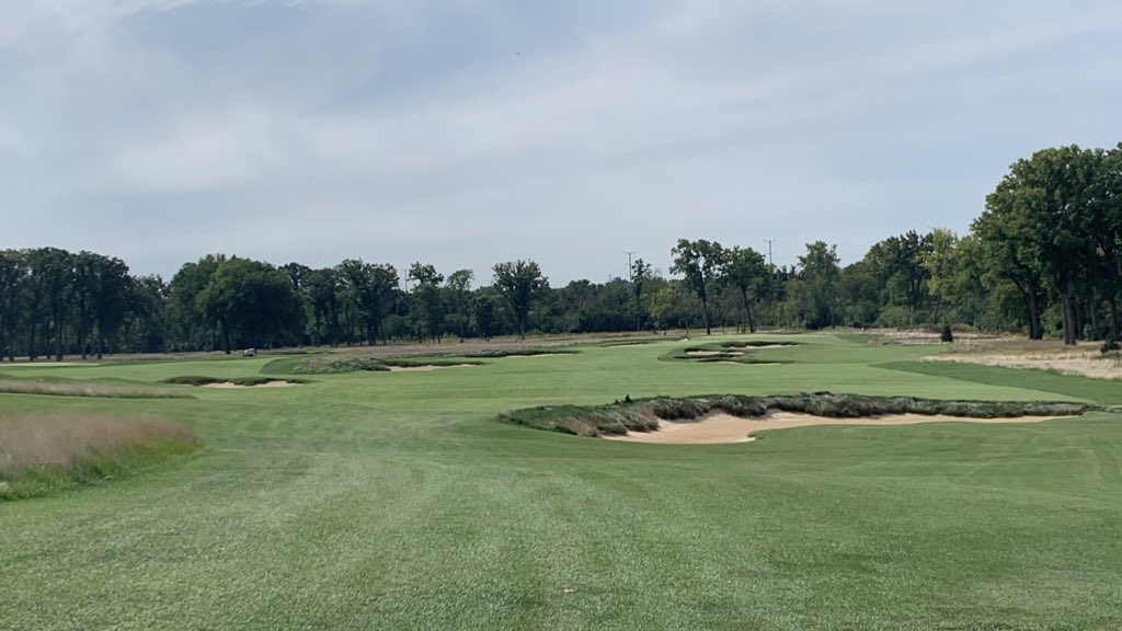 Steve M. tweet media