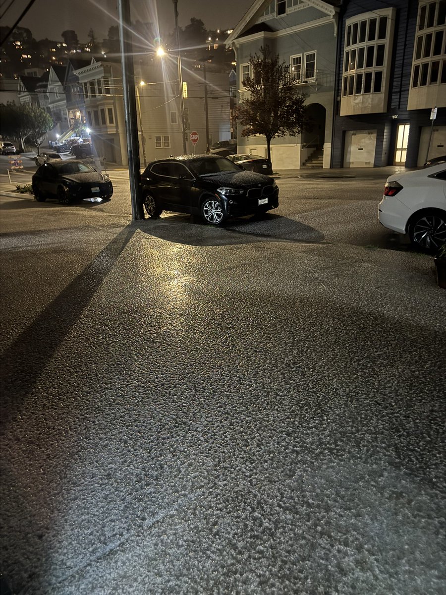 Tara Lorne tweet media