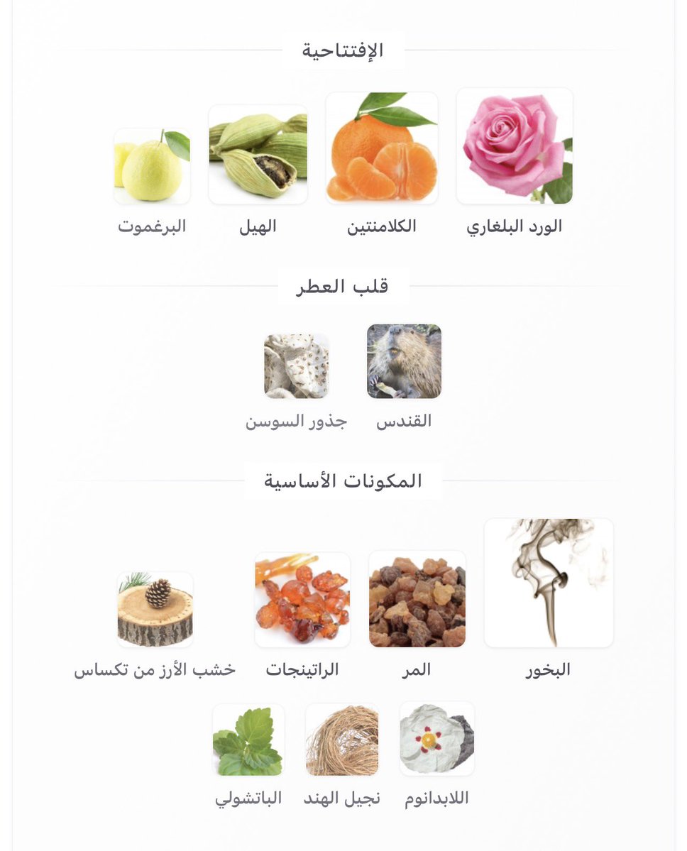 صباح مختلف برائحةٍ لا تشبه السائد…

Montabaco Rio يمنح بداية مشرقة بلمسات الفواكه والأناناس مع شاي ناعم ونفحات تبغ هادئة تضيف دفئاً خفيفاً دون ثقل.

أما 06 Incense Rose فيقدم ورداً شفافاً يلامسه البخور والمر برقيٍ هادئ، ليبقى قريباً من الروح لا صاخباً حولها.

اختيارات صباحية