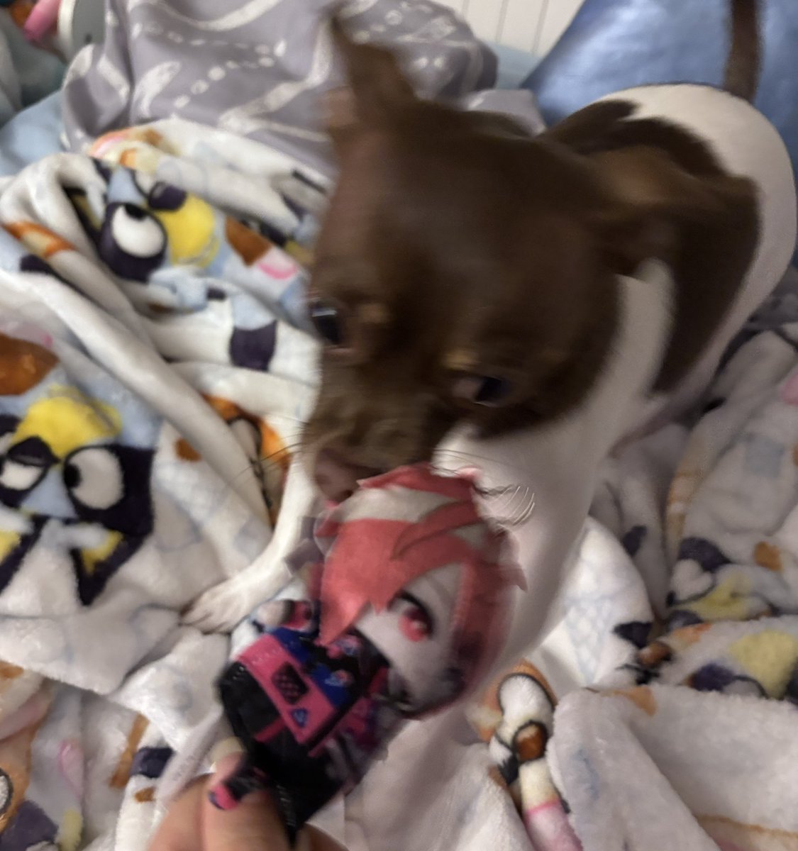 Jorchinit 🌭 tweet media