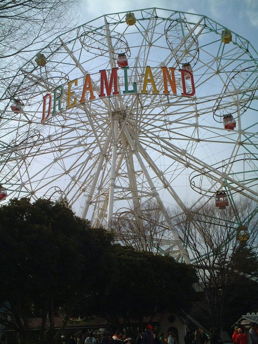 きうじ🌹🍵 tweet media