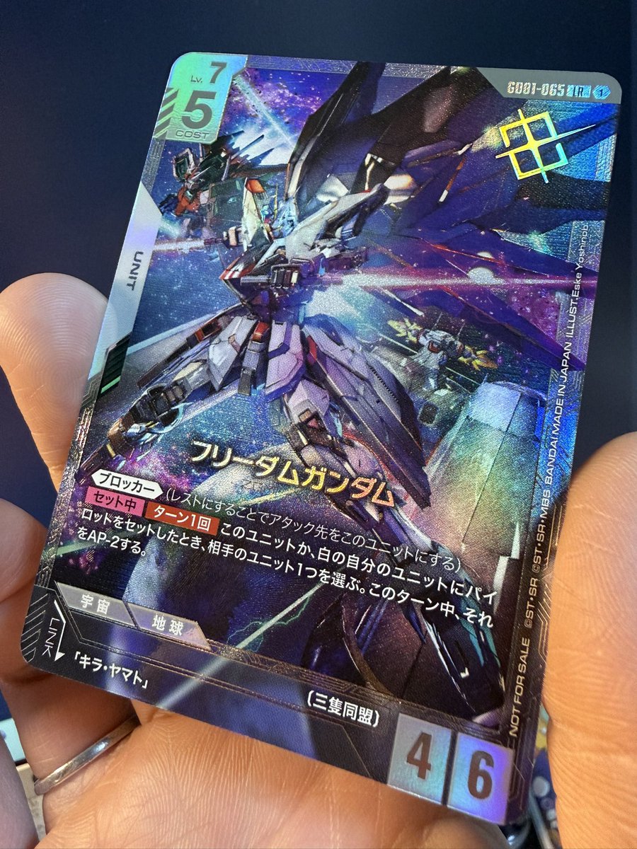 ニュータイプチャレンジの優勝景品フリーダム！ 加工がふつくしい