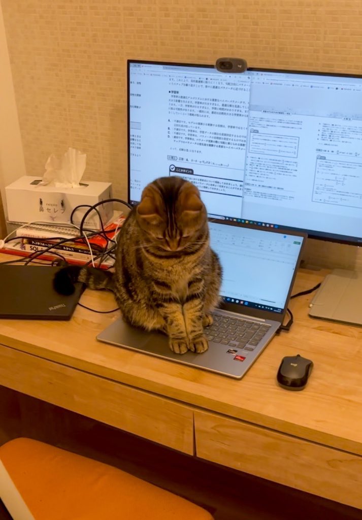 トイレから戻ったら、ねこが"頭なでろ"ポーズでPCの上で待機してた🤭