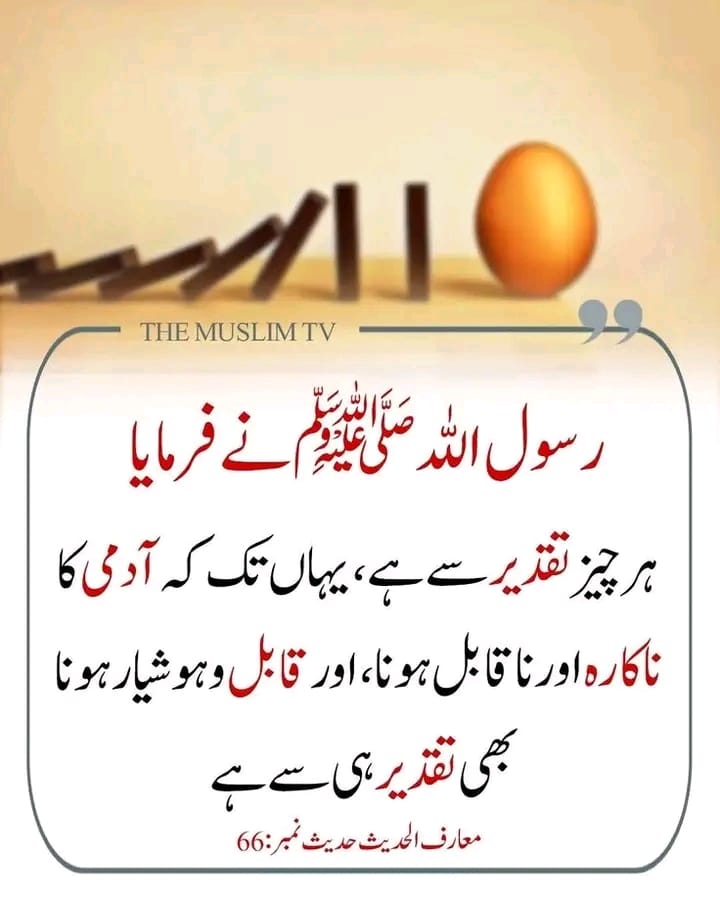 Sheikh saira sahiba (@chotisheikhni) on Twitter photo 