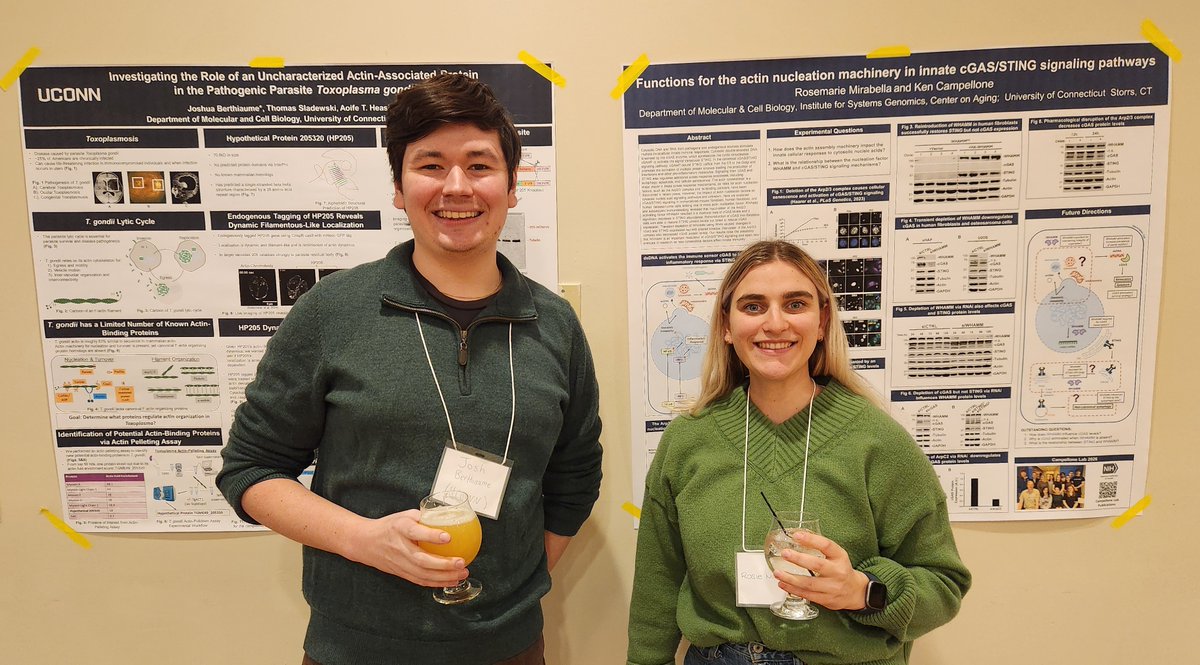 CampelloneLab tweet media