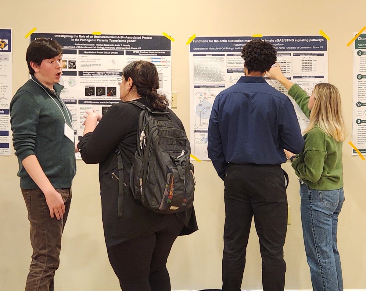 CampelloneLab tweet media