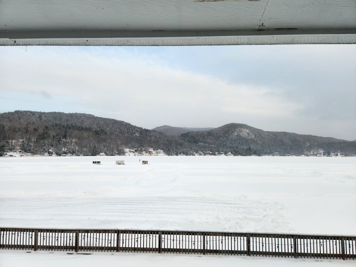 CampelloneLab tweet media