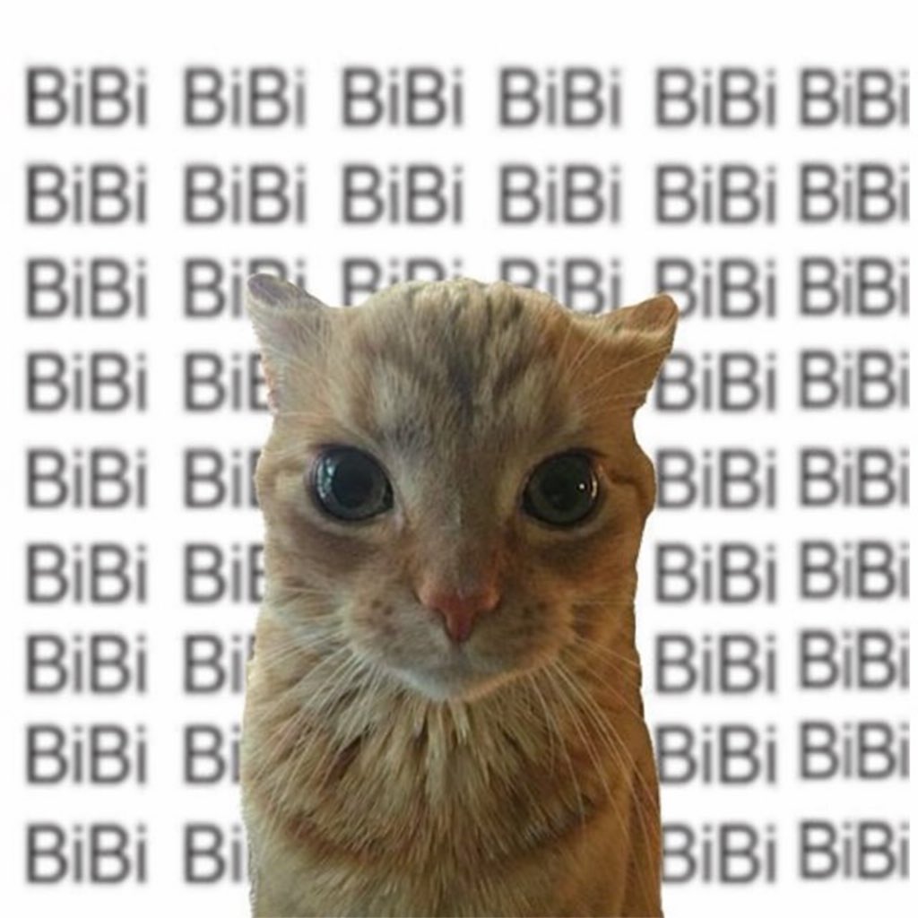 call me mami ♡̷̷̷₊⋆｡࿔* #เขมจิราต้องรอด (@leealize_nt) on Twitter photo 