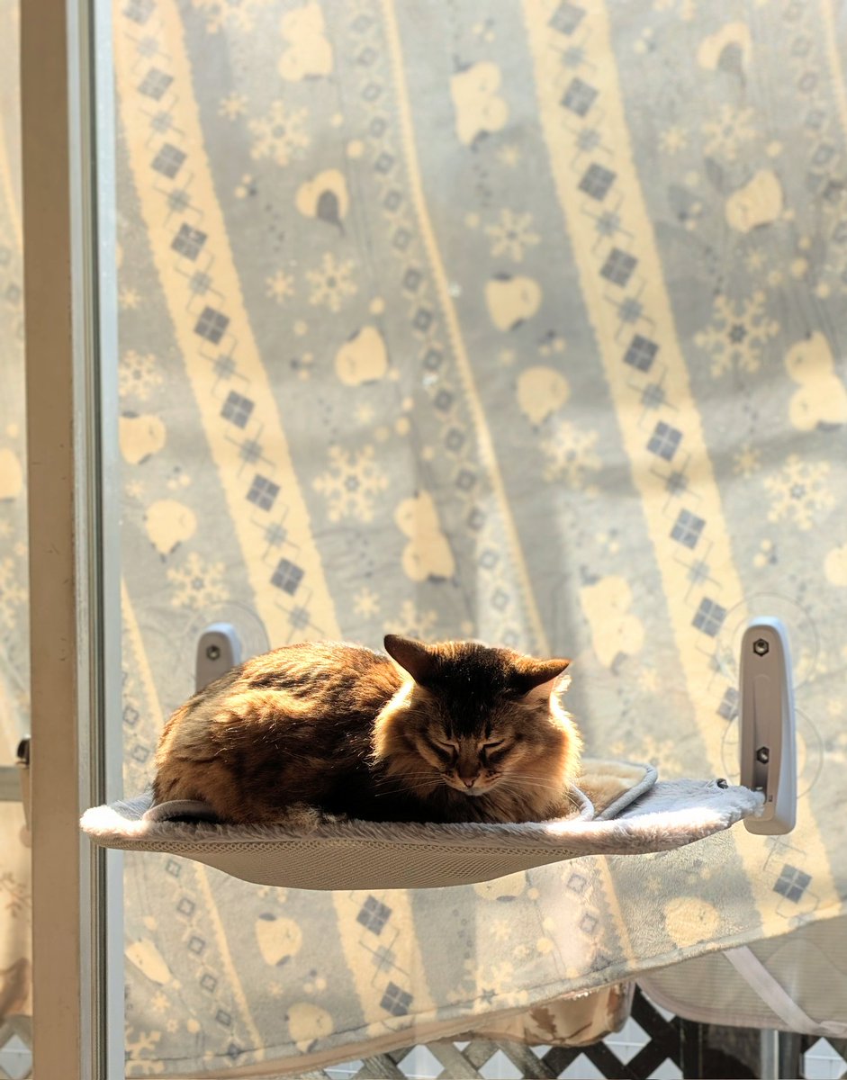 橘+櫻 (@mizuki_orange) / Posts / X