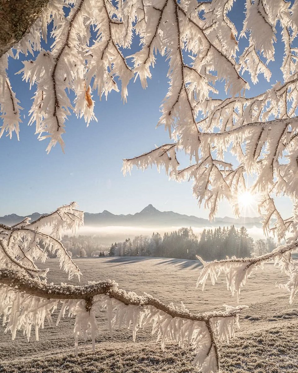 𒈙 Jack 𒈙 tweet media