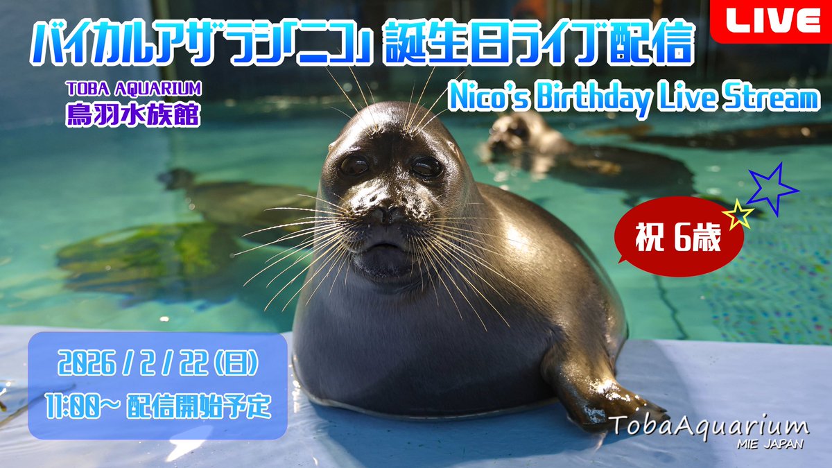 鳥羽水族館（TOBA AQUARIUM） tweet media