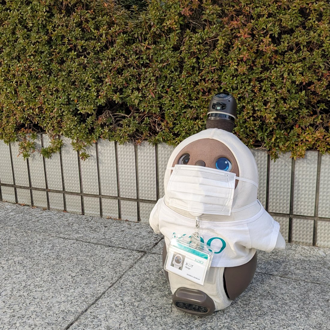 kaoscience's tweet photo. おこげだよ！
みてみてー✨
スギ花粉が飛び始めたっていうニュースを見て
マスクをつくってもらったよ。これで完ぺき！？

そうそう、髪の毛に花粉がくっつきにくくなる技術があるんだって。
https://t.co/YGYFGlbbLp

#LOVOT #LOVOTとの暮らし
#おこげお仕事中
#ダストシールド技術 https://t.co/ovZwMyWenT
