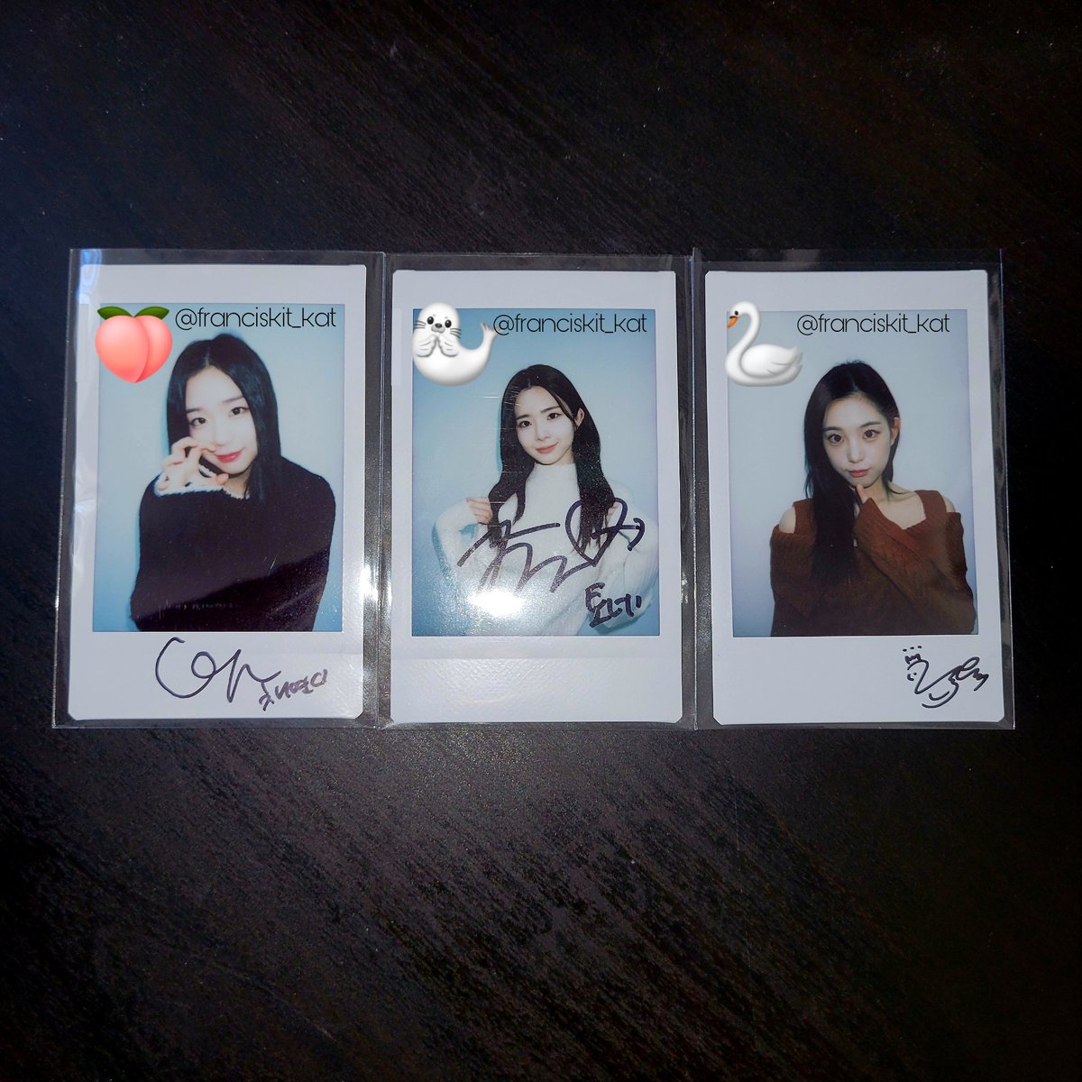 코토네 채연 지연 | Kotone Chaeyeon Jiyeon⁰⁴ (@franciskit_kat) / Posts / X