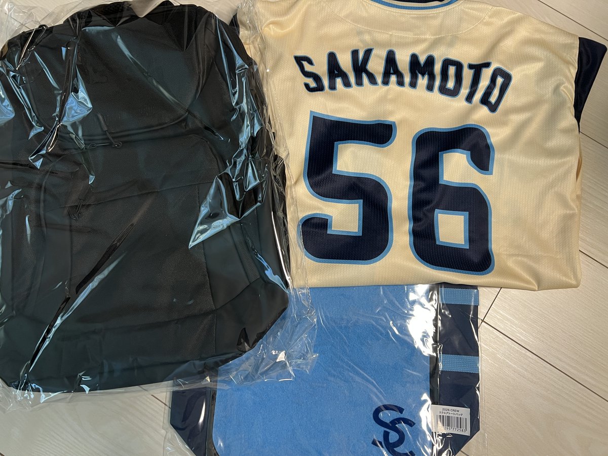 本日の先発は坂本拓己くんですね
早くも暗いムードが漂う中、光を差し込めるナイスピッチを期待してます
頑張れ！