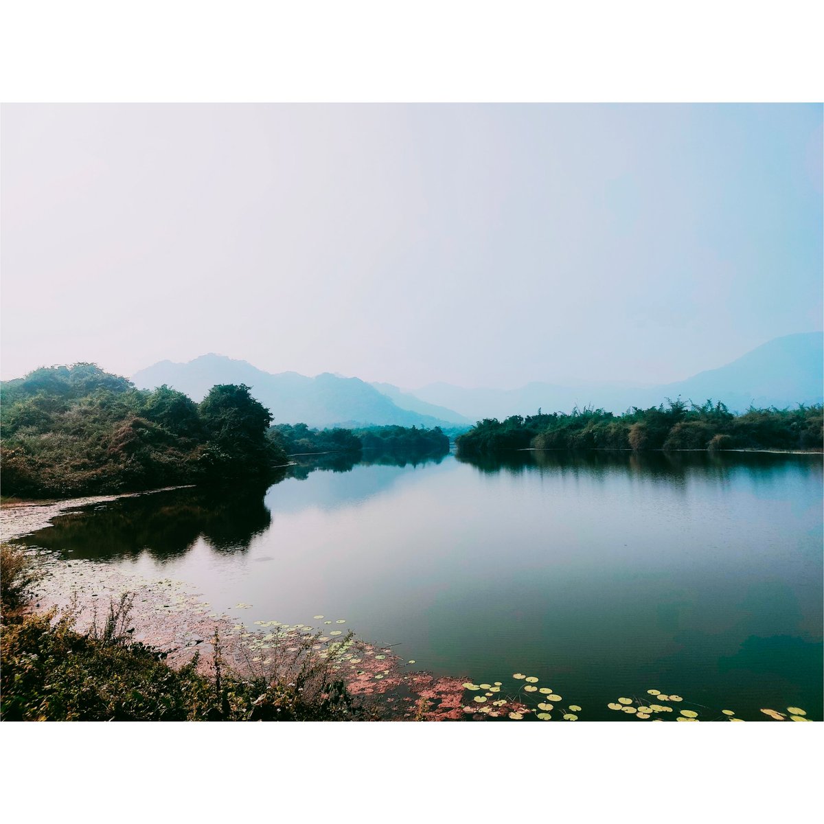 Hrudananda73760's tweet photo. #photography #natute #beauty https://t.co/46Tf5YmwSY