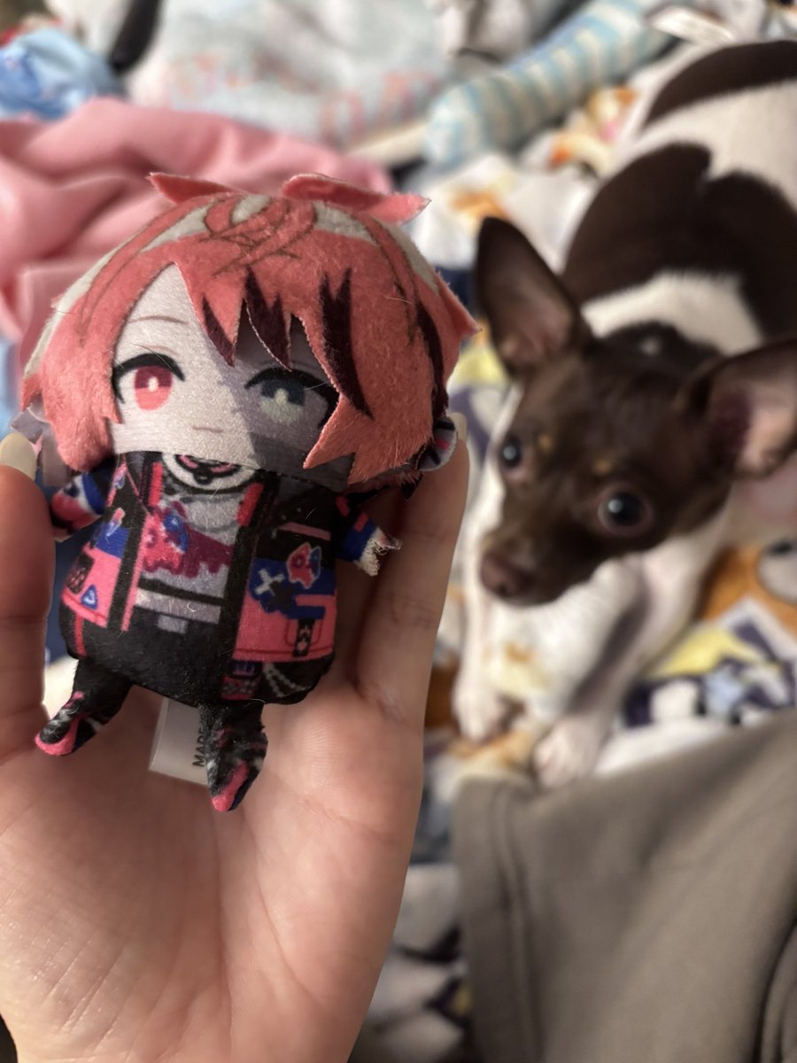 Jorchinit 🌭 tweet media