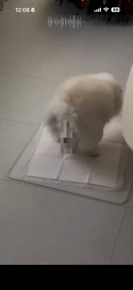 やばい😭😭泣く😭😭ジョンファンのこと応援できて良かった😭😭ありがとう😭😭って思ってたらこれ来てマジジョンファンっておもろい男最高