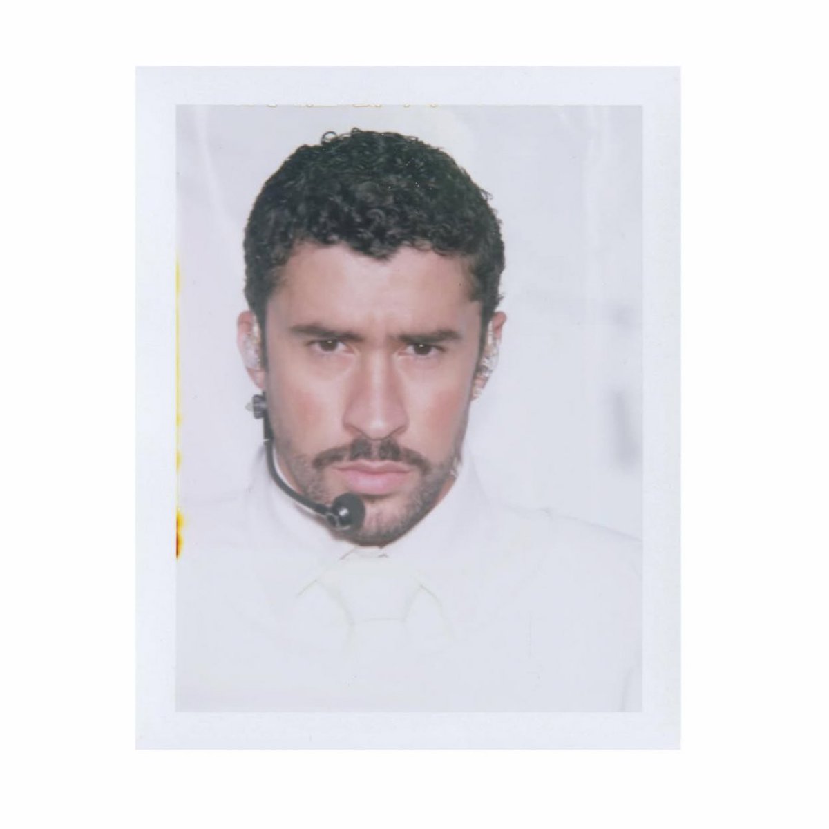 Access Bad Bunny tweet media