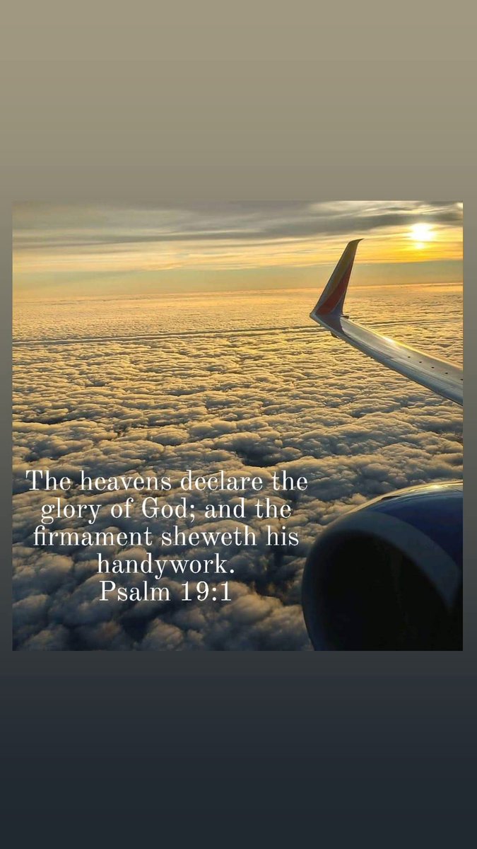 Tracy Killinger 🇺🇸 (@tracykillinger) on Twitter photo 