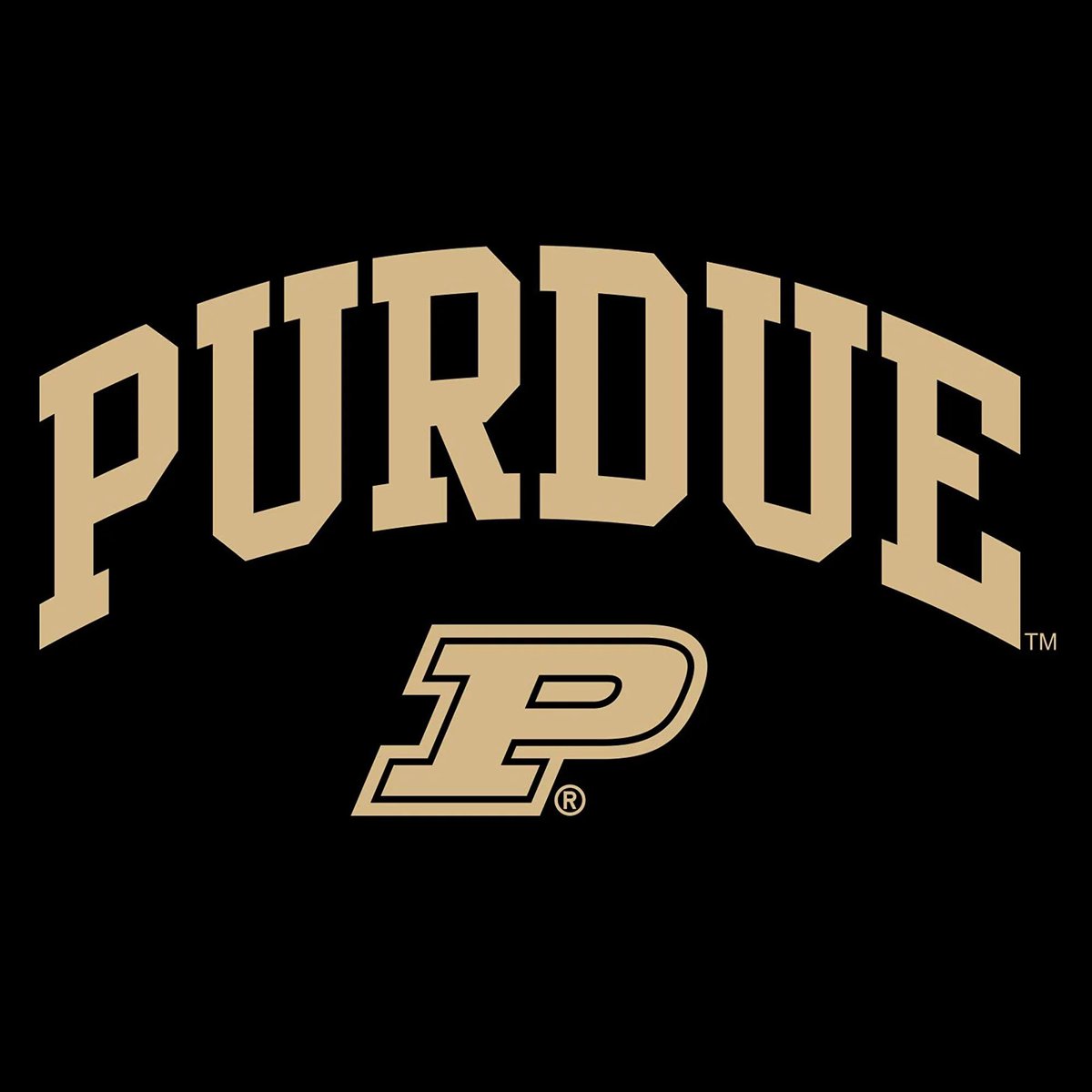 Roman combs tweet media