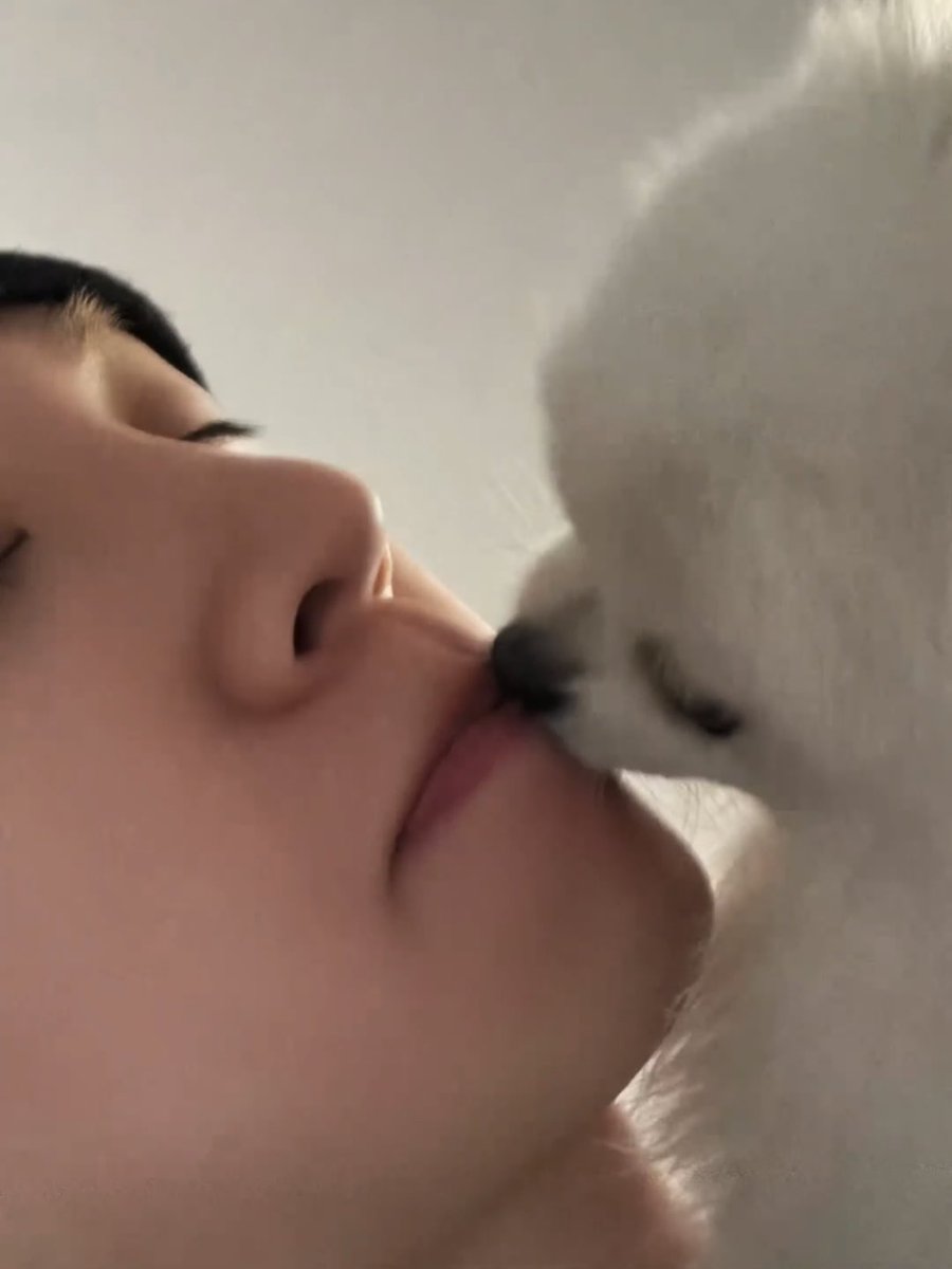 น้องแคนดี้จุ๊บพี่จองฮวานด้วยยย รูปที่น่ารักที่สุดฉันให้เลยยยยย ฮือออ น่ารัก 🐶🤍🐮