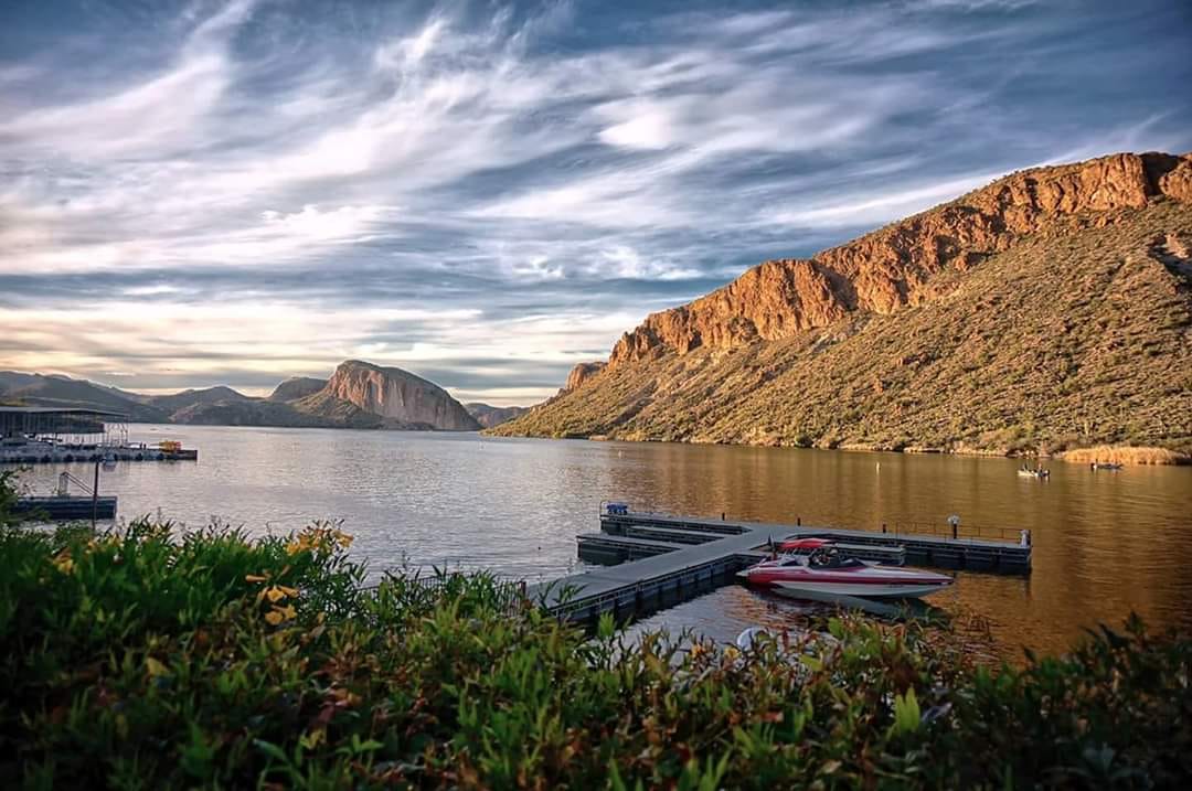 TheRealThelmaJohnson tweet media