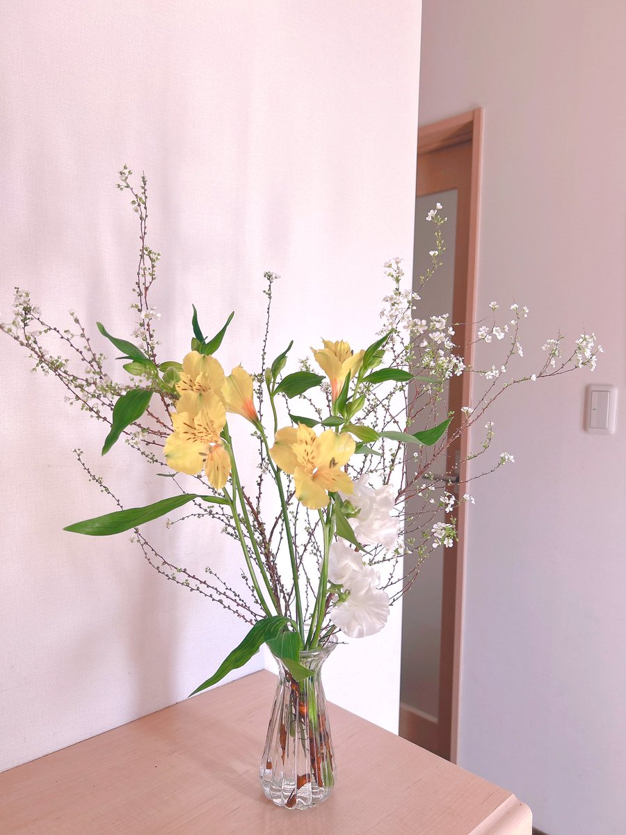うまく水吸えてたみたいで元気💪

さて塗装してくる