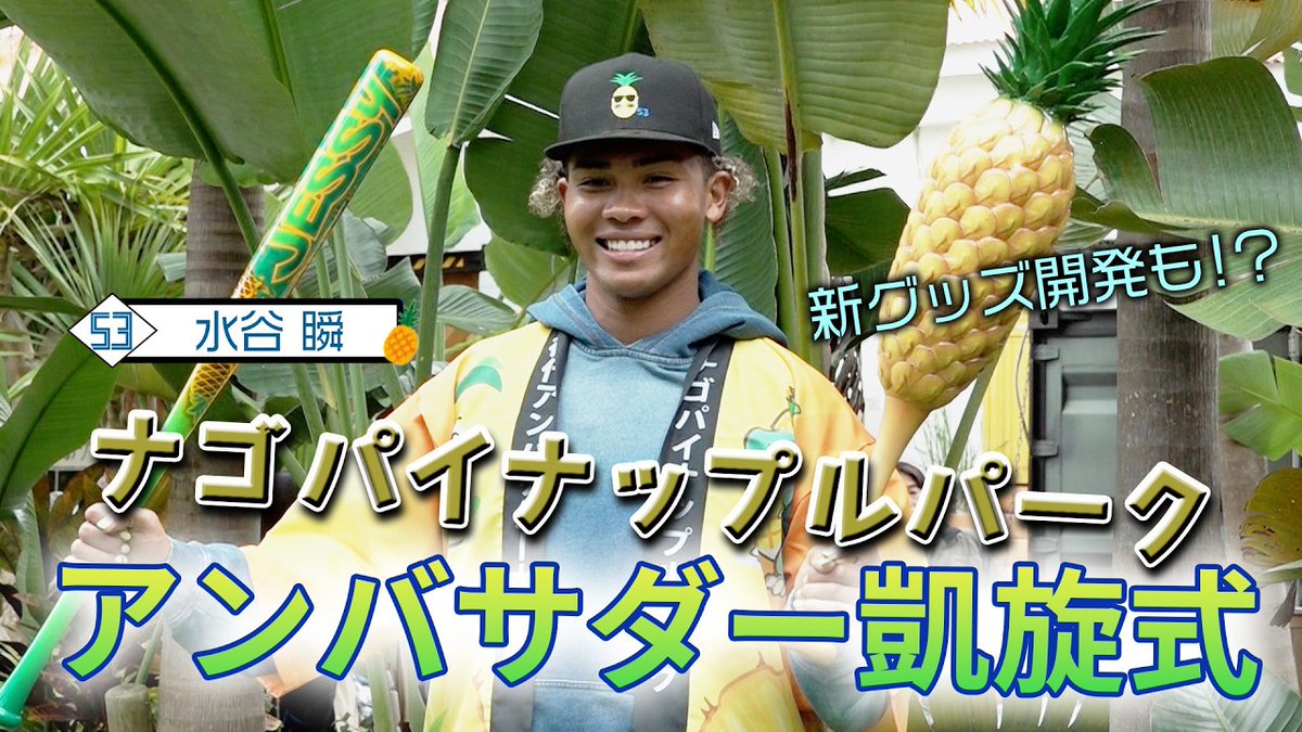 北海道日本ハムファイターズ グッズ【公式】 (@fighters_goods