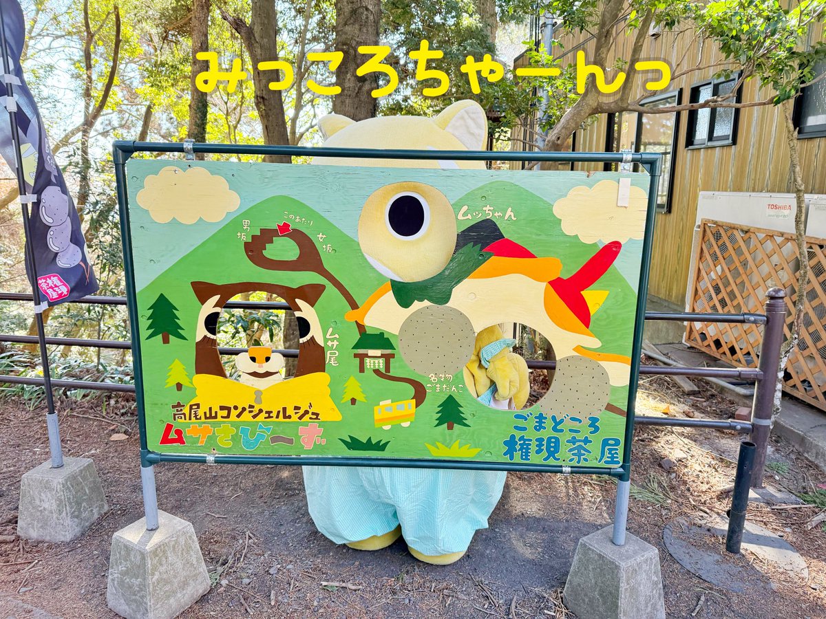 ムッちゃん tweet media