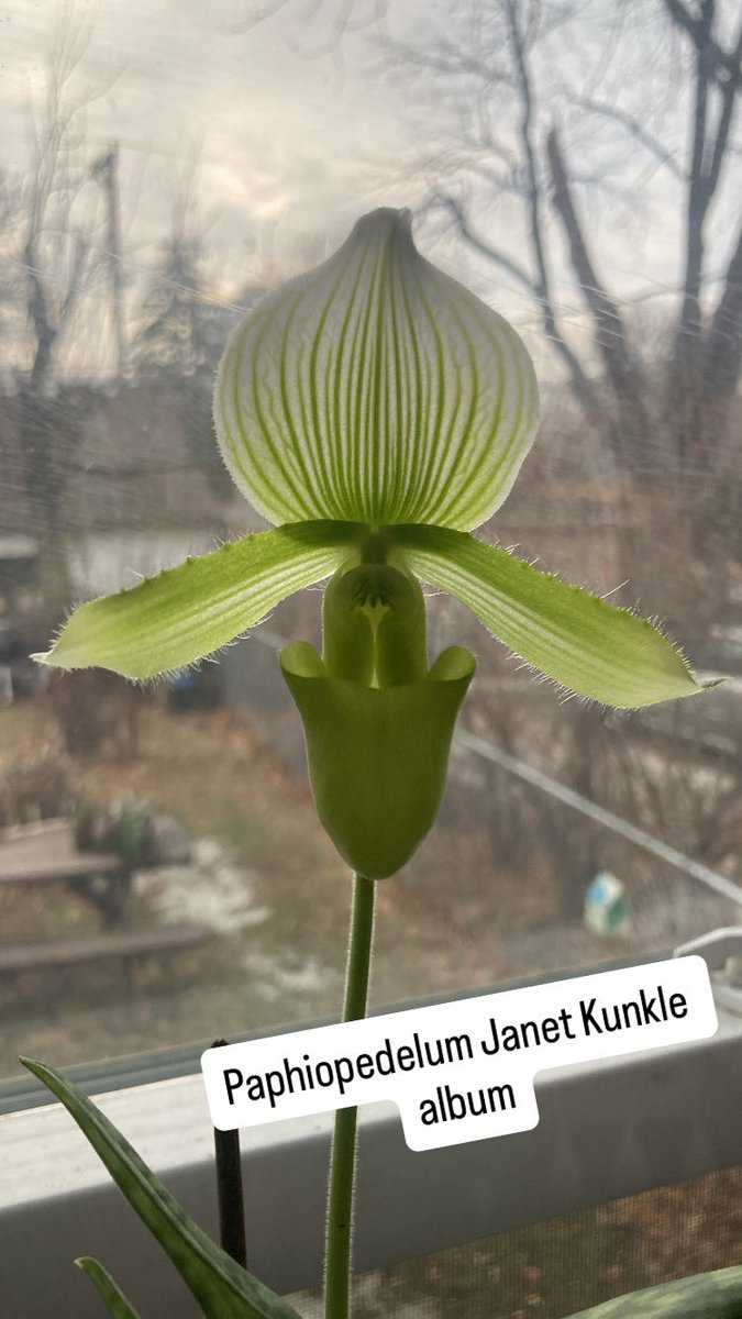 CoffeeWithCacti tweet media