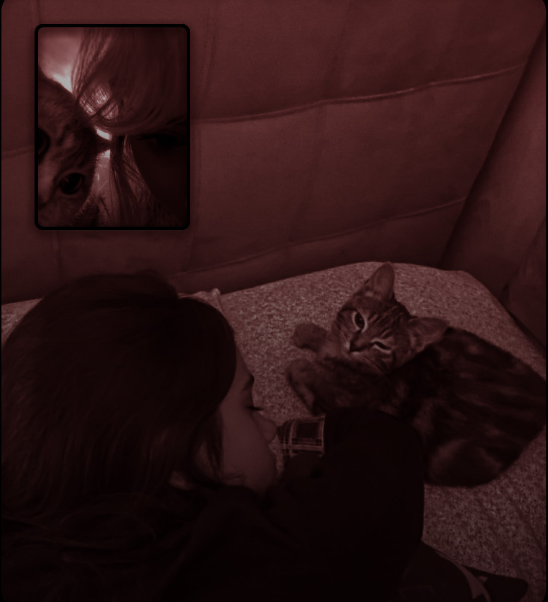 ‍ ‍ ᅠ*ੈᅠ ‍ ‍ 𝕽𝐎𝐒𝐋𝐘𝐍 ‍ ‍ ‍.ᐟ‍ ‍ ‍ᅠ tweet media