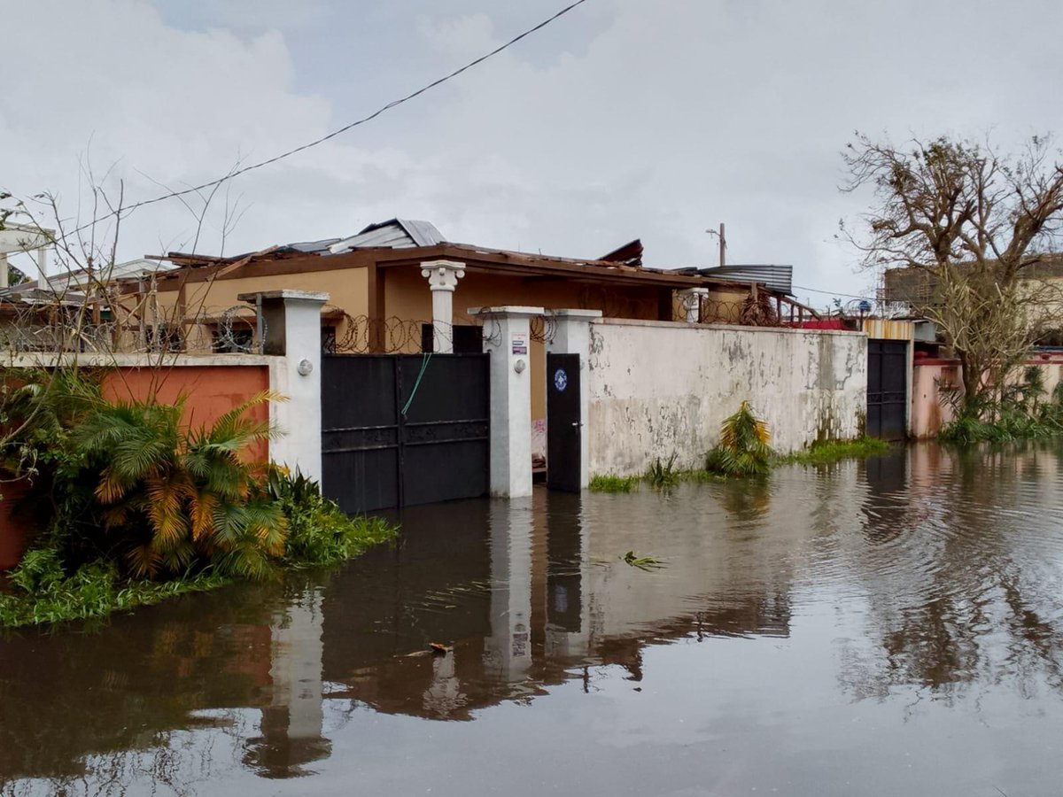 世界の医療団 tweet media