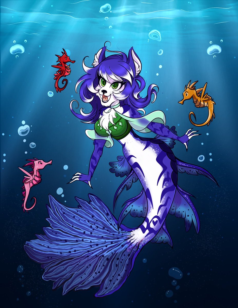 Haseo Himura tweet media